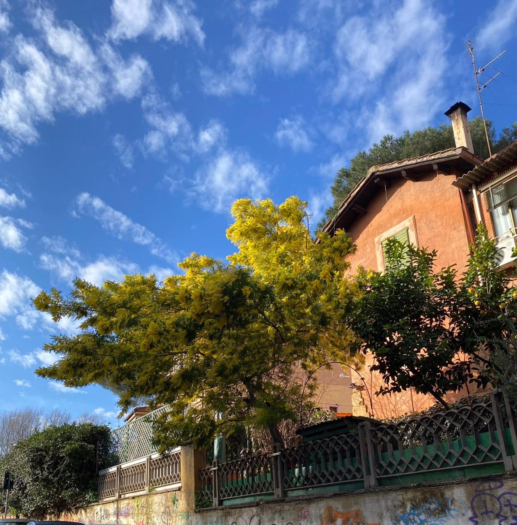 Appartamento La Casa Del Giglio *